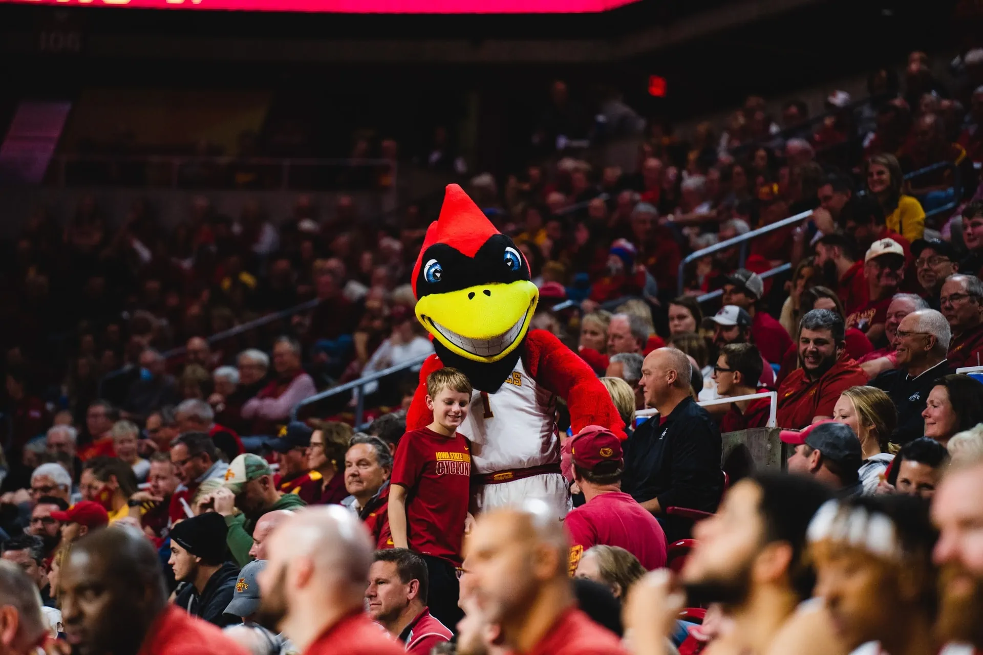How Can You Become an NBA Mascot 