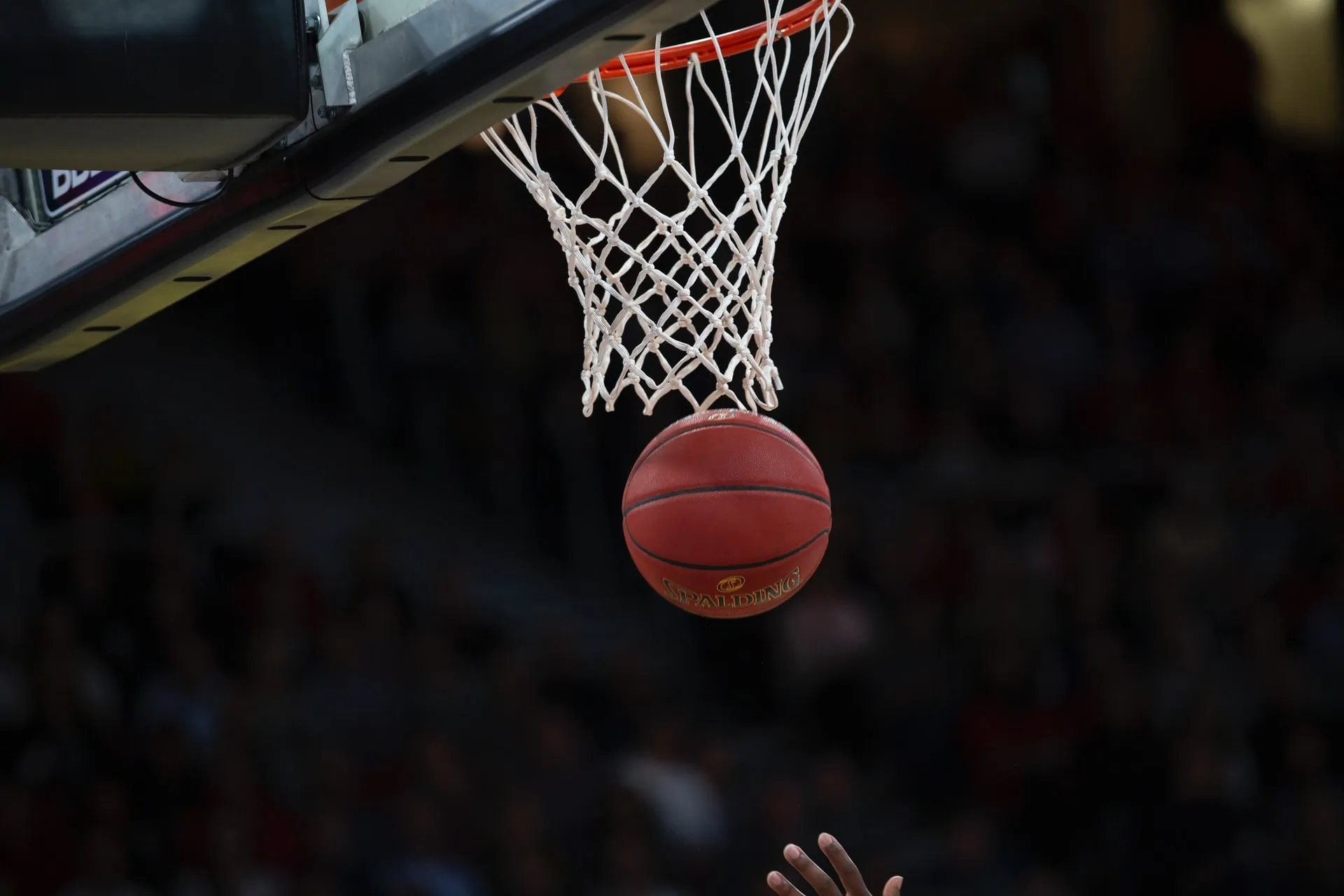 7 Facts About AAU Basketball