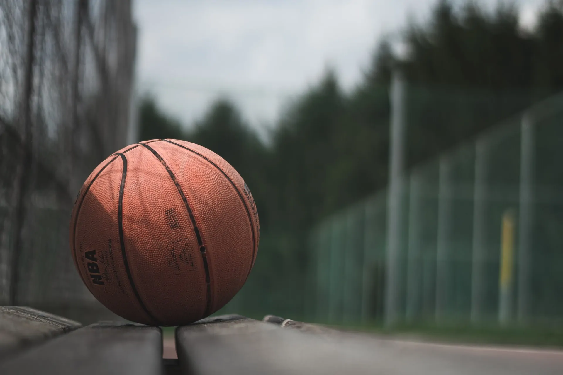 Money Line vs. Spread Which Bet is Better in Basketball