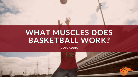 What Muscles Does Basketball Work?