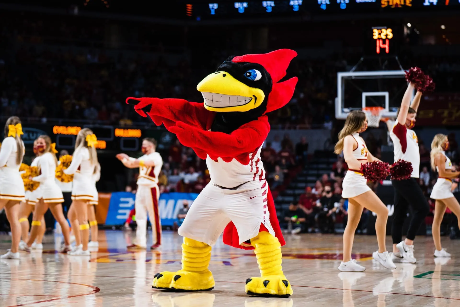 Does Every NBA Team Have a Mascot