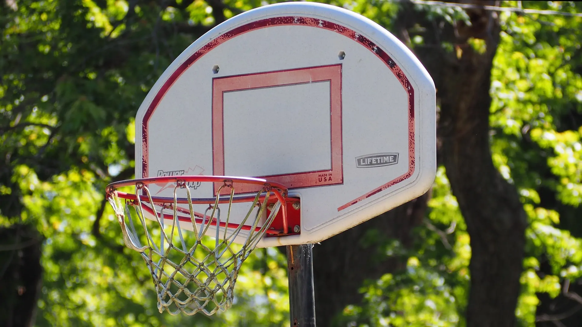 7 Best Basketball Hoops