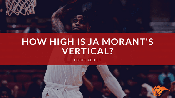 How High is Ja Morant's Vertical?
