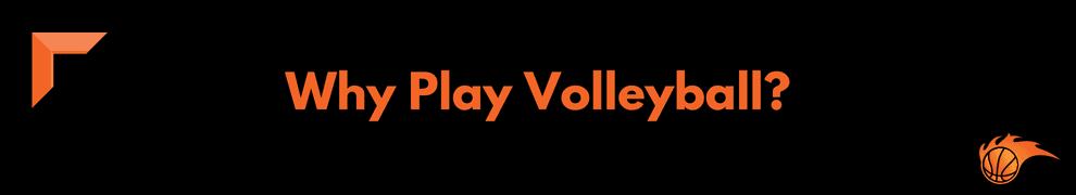 Why Play Volleyball