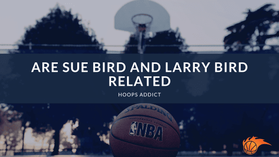 Are Sue Bird and Larry Bird Related?