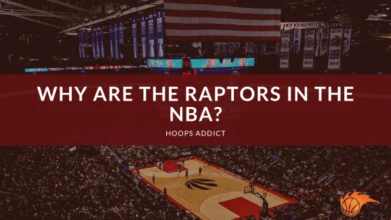 Why are the Raptors in the NBA?